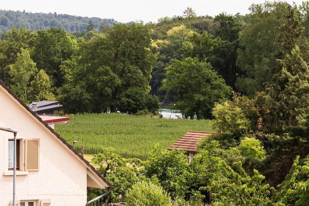 Luxury Apartment On The Rhein Busingen am Hochrhein Exterior foto